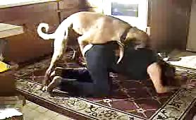 Mature loves dogs dongs